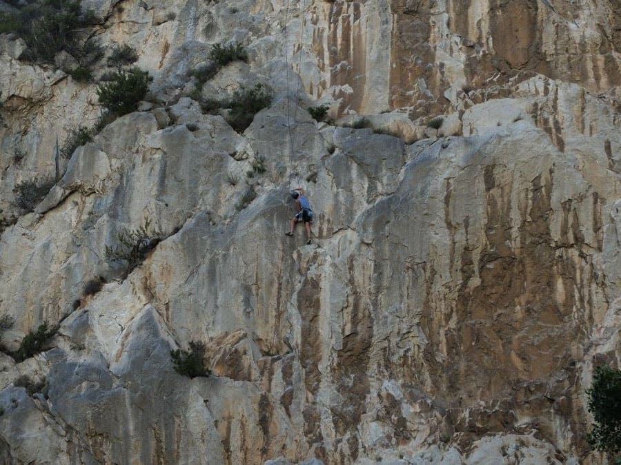 Vincent Climbing