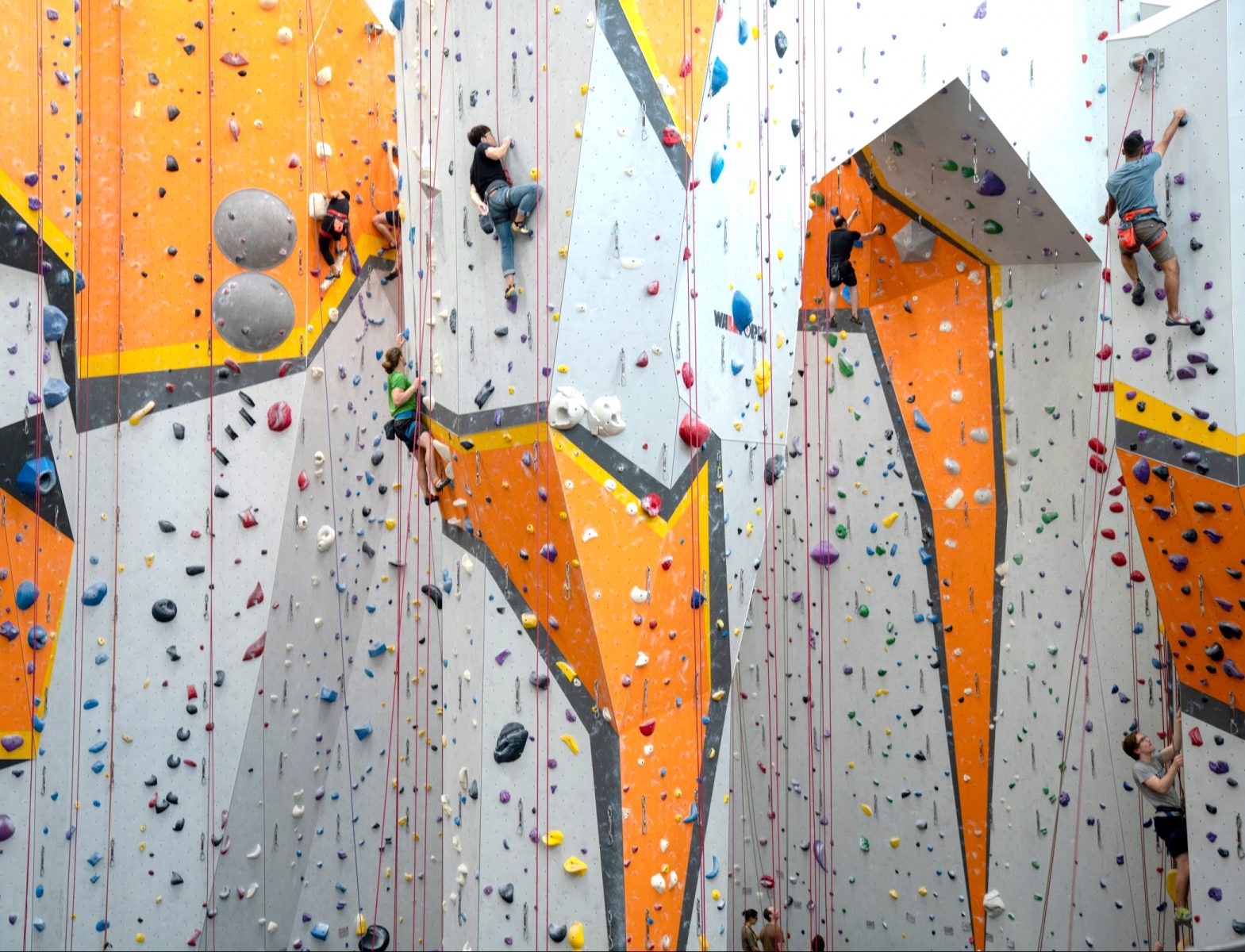 Experienced Climbers - First Ascent Climbing And Fitness