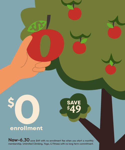 June_0_Enrollment_Promo_2_IG